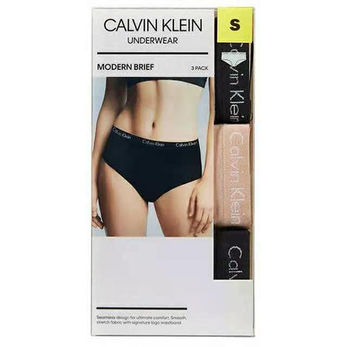 Calvin Klein Women's Modern Brief Underwear Panties-3 Pack